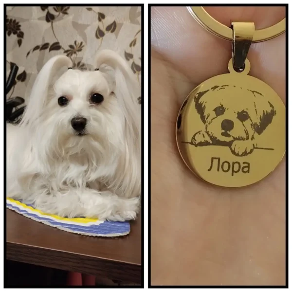 Кучешки медальон с лика, името и телефона на гърба