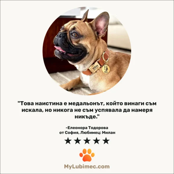 Кучешки медальон с лика, името и телефона на гърба