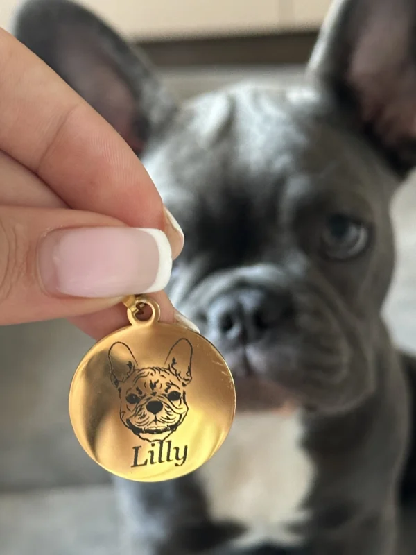 Кучешки медальон с лика, името и телефона на гърба