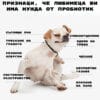 ПРИЗНАЦИ, ЧЕ ЛЮБИМЕЦА ИМА НУЖДА ОТ ПРОБИОТИК сълзящи ОЧИ ТРЕСКАНЕ НА ГЛАВАТА СЛЮНООТДЕЛЯНЕ ЯДЕНЕ НА TPEBA СЕЗОННИ АЛЕРГИИ ЧЕСАНЕ НЕПРИЯТНИ ГАЗОВЕ постоянно РАЗСТРОЙСТВО БЛИЗАНЕ НА ЛАПИ