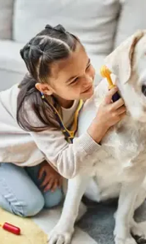 oxyfresh-earcleaner (1)